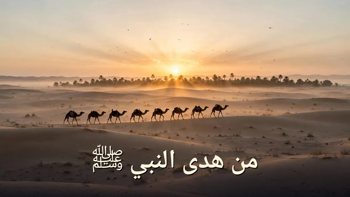 من هدى النبي الجزء السابع