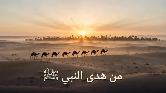 من هدى النبي صلى الله عليه وسلم — الجزء السابع: دروس نبوية تنير حياتك