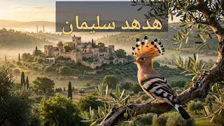 قصة هدهد سليمان عليه السلام: الطائر الذي غيّر مصير مملكة