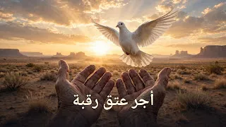 أجر عتق رقبة: أعمال يسيرة تعدل ثواب العتق من الرق