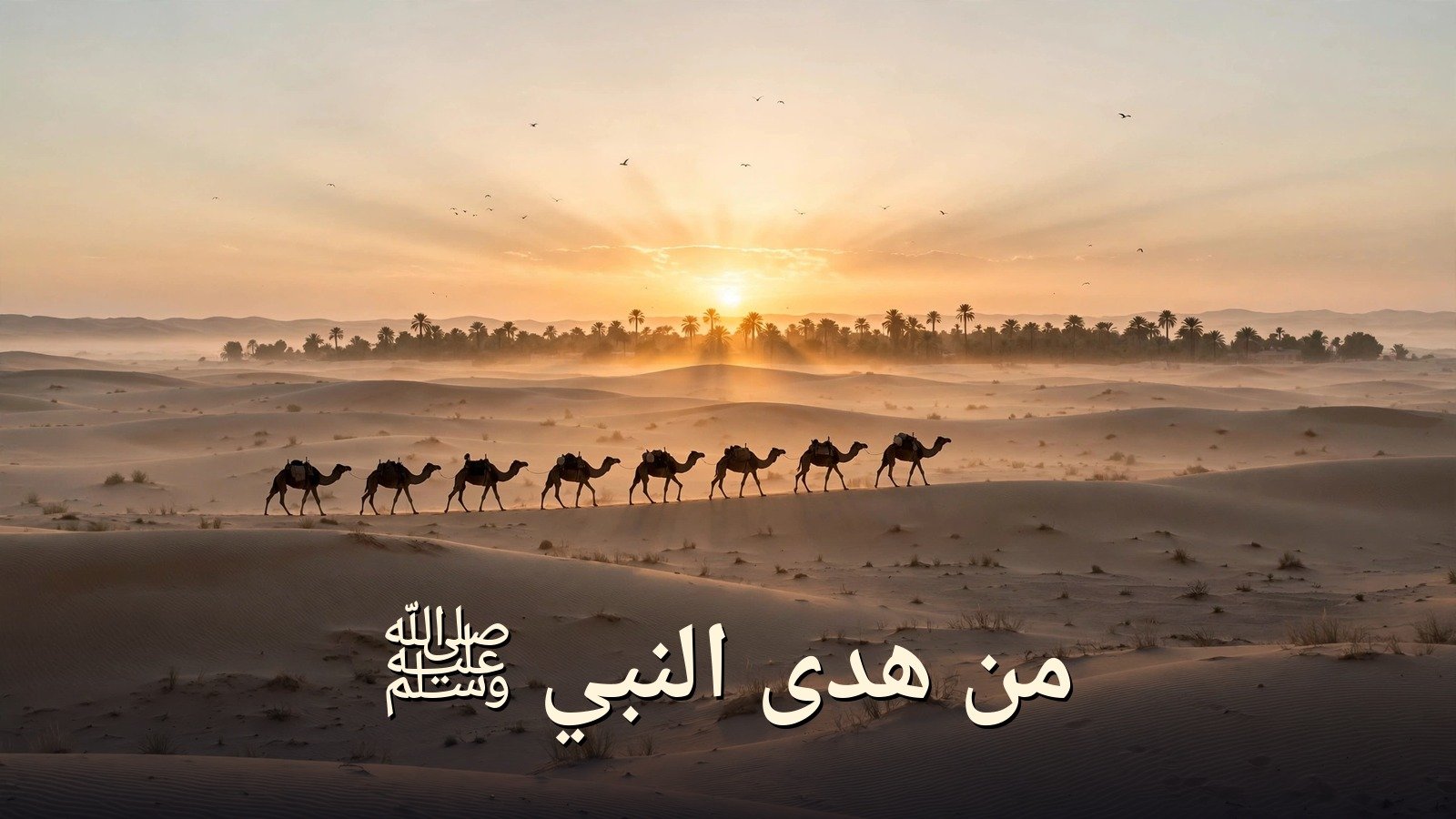 من هدى النبي الجزء السابع